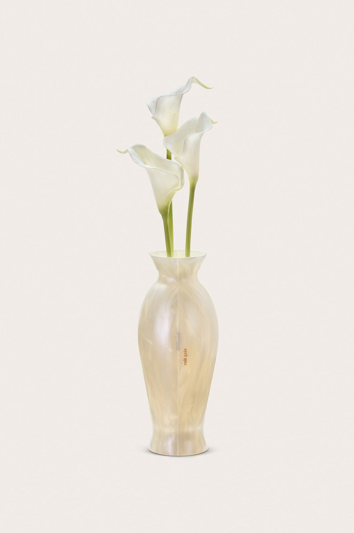 FLORENCE CLUTCH - IVORY