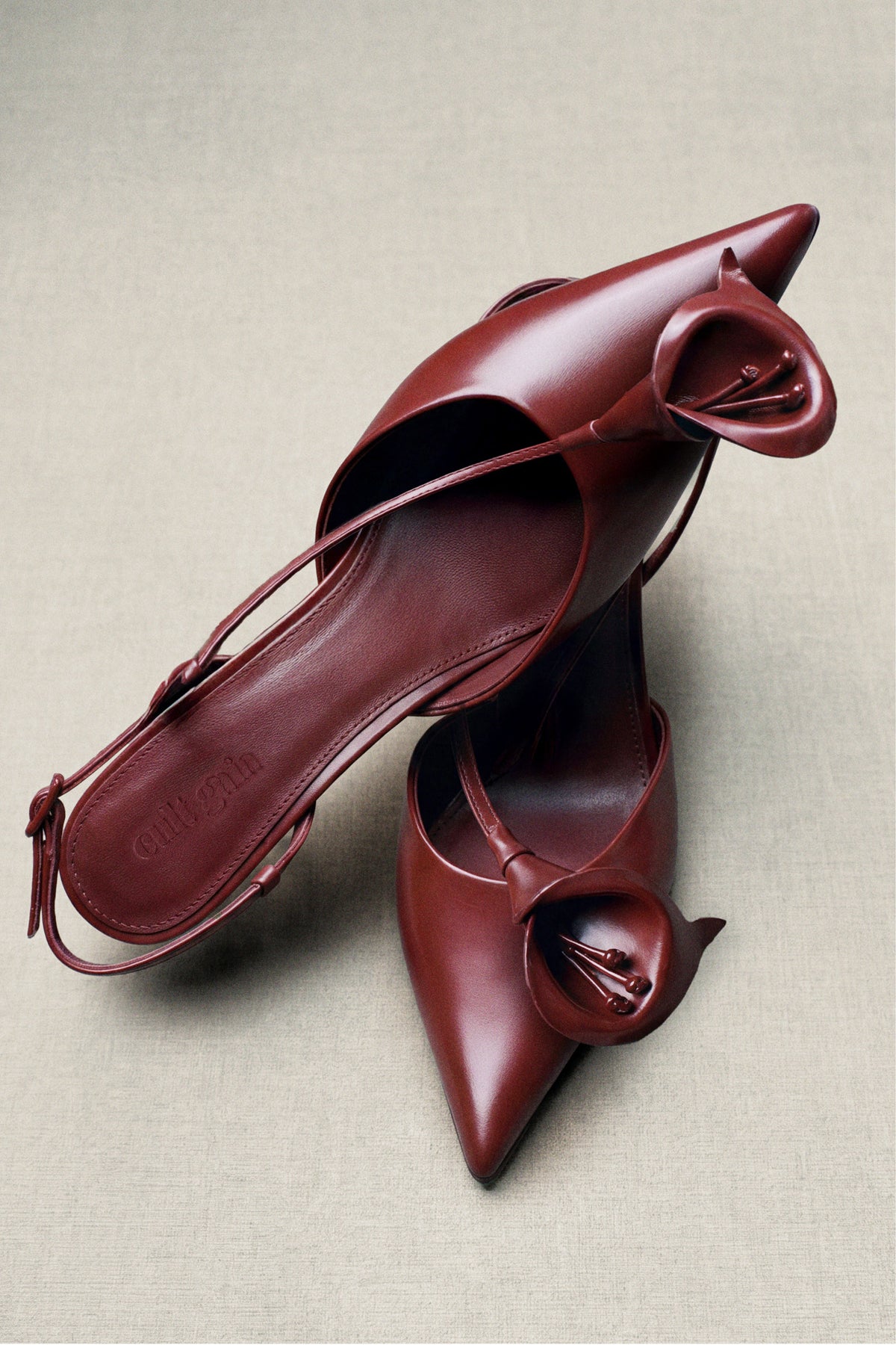 DISCOVER GUEST OF DRESSING ON cultgeia.com